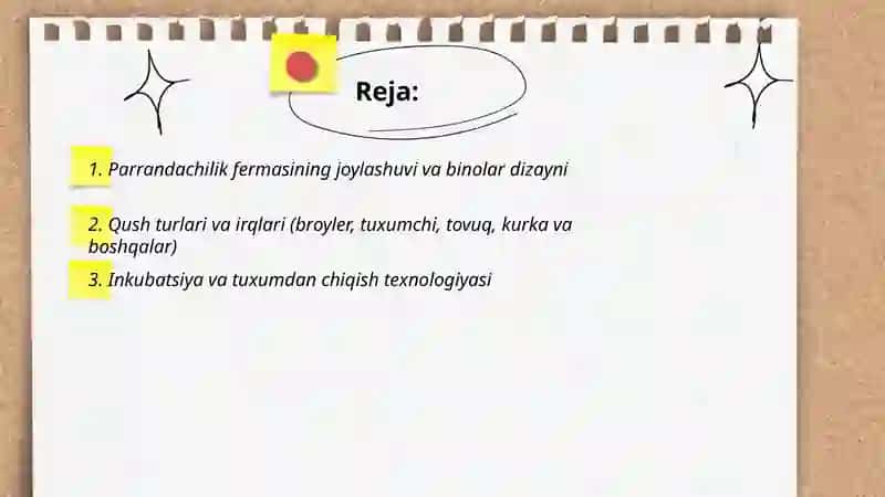 Parrandachilik fermasi 2
