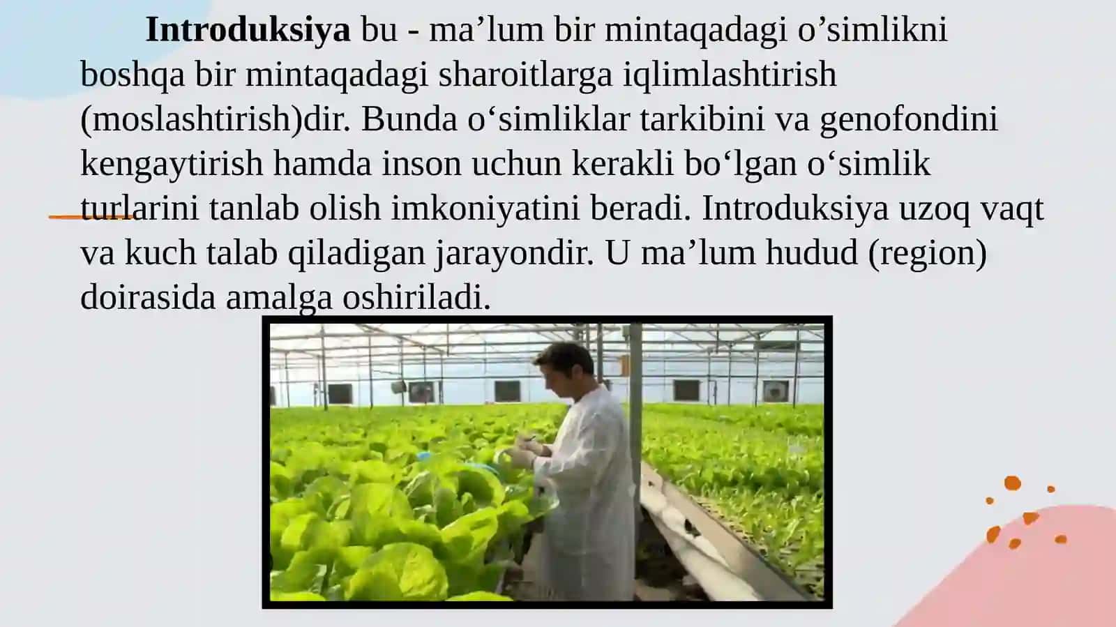 O‘zbekistonda introduksiya qilingan dorivor yarim butalar turlari 2