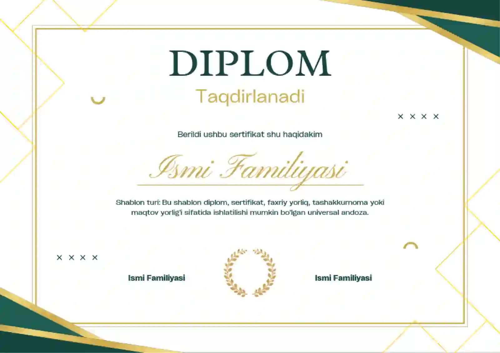 DIPLOM 2