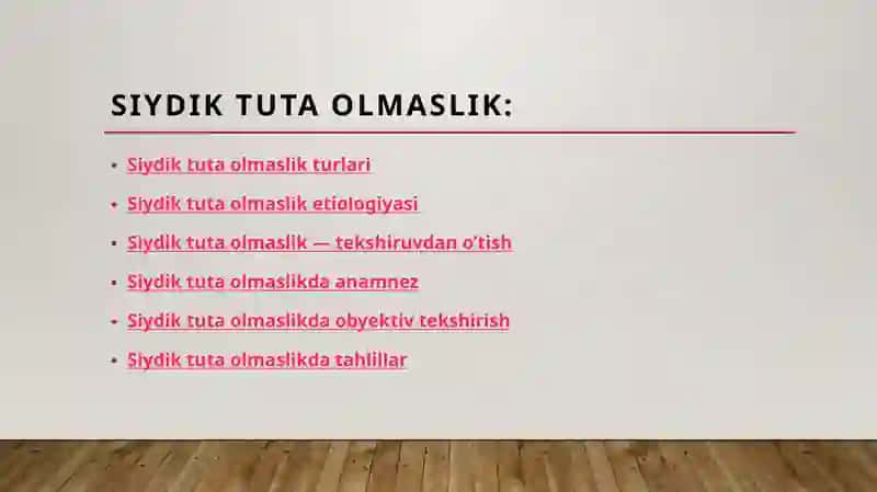 Siydiktutaolmaslik 2