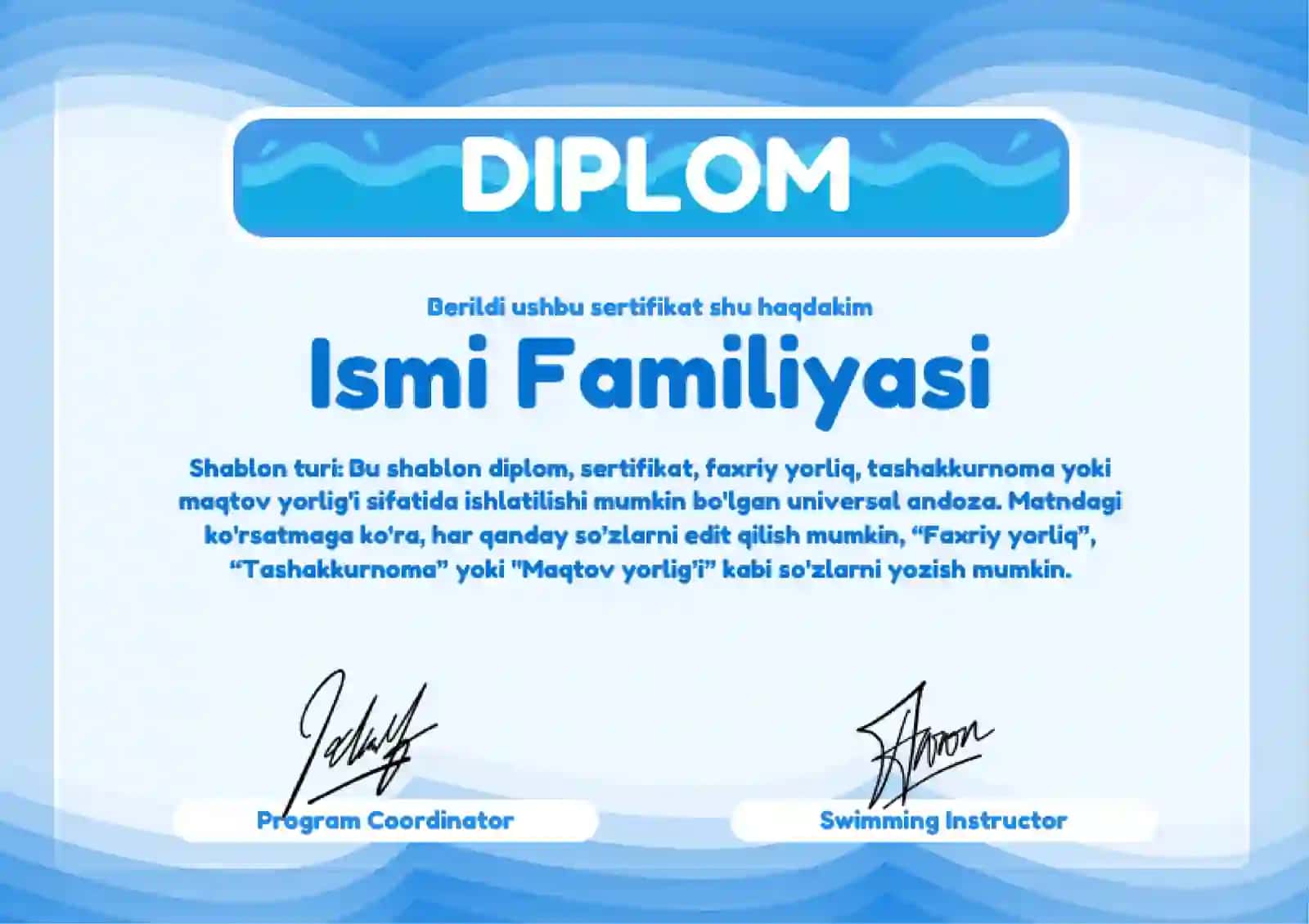 DIPLOM 2