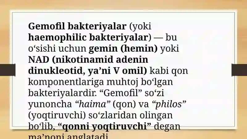 Gemofilbakteriyalar (influentstayoqchasi) bakteriyalar 2