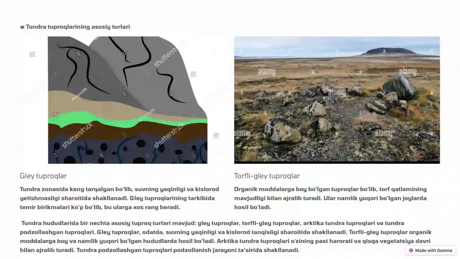 Tundra tabiat zonasi tuproqlarining tarqalishiga ta'sir etuvchi geografik omillar tahlili 2