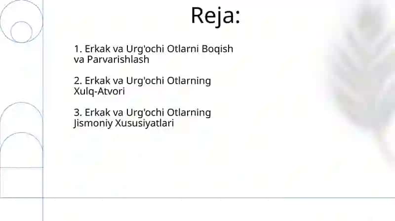 Erkak va Urg'ochi Otlarni Boqish va Parvarishlash 2