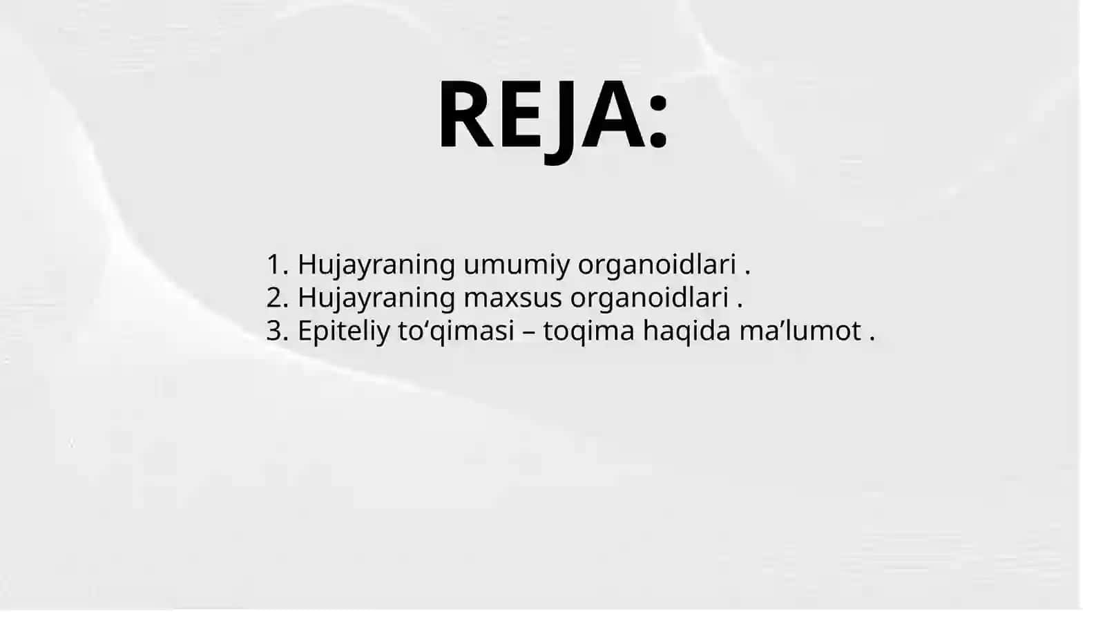 Hujayraning umumiy va maxsus organoidlari 2