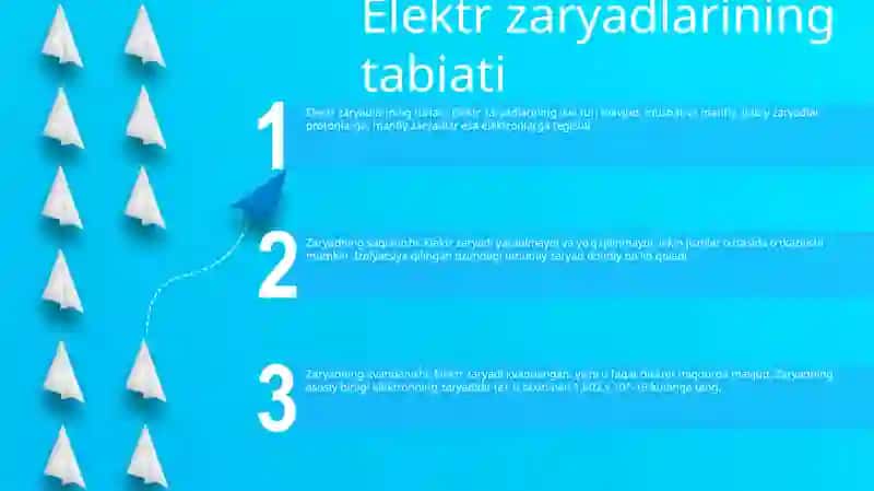 Elektor Zaryadi 2