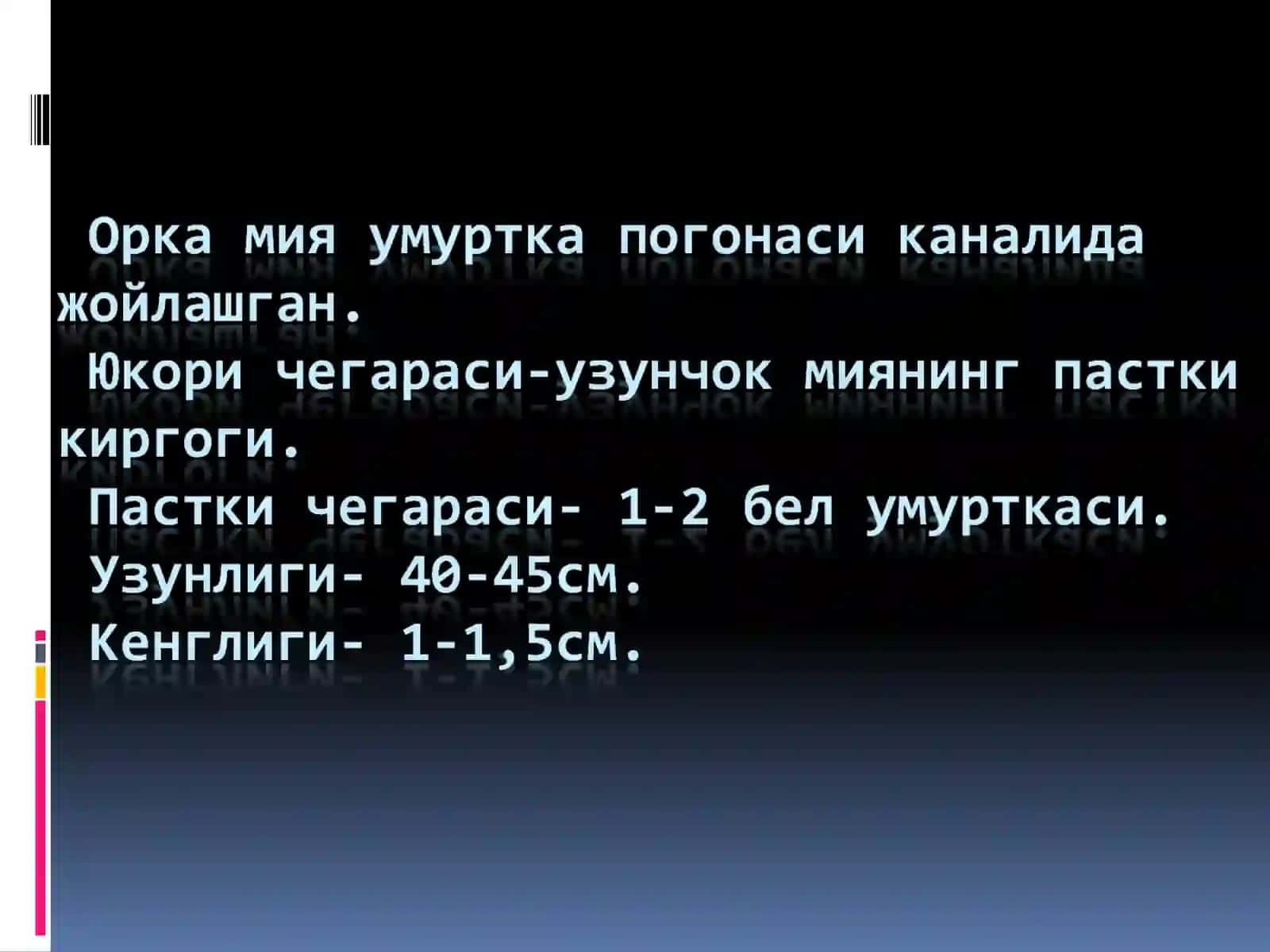 Орка мия мия асоси 2