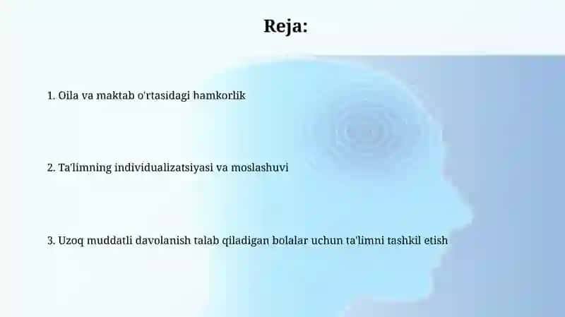 Uzoq muddatli davolanishga muhtoj bolalar uchun ta’limni tashkil etish 2