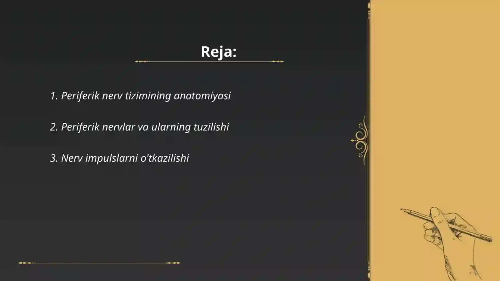 Pereferik nerv sistemasi 2