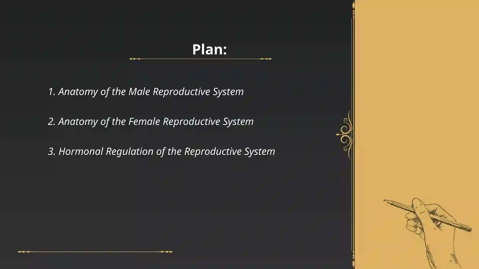 Reproductive system 2