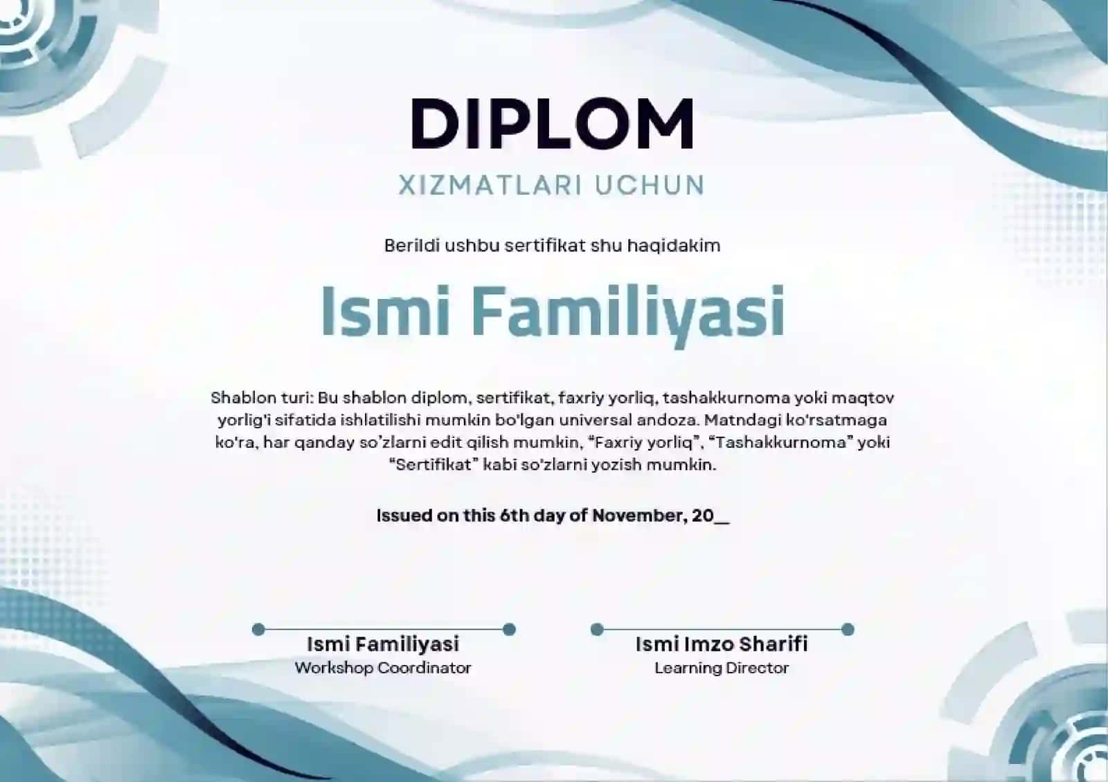DIPLOM 2
