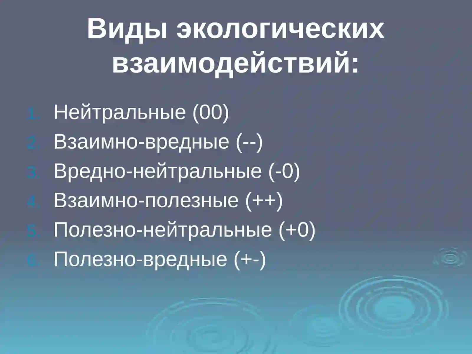 Белка и лось 2