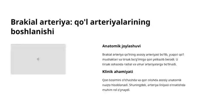 Qo'l arteriyalari 2