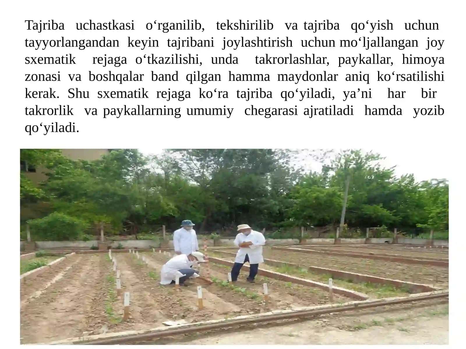 Ma’shg‘ulot rejasi 2