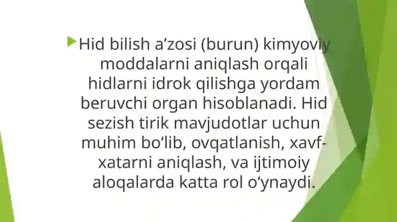 Hidbilishaʼzosi 2