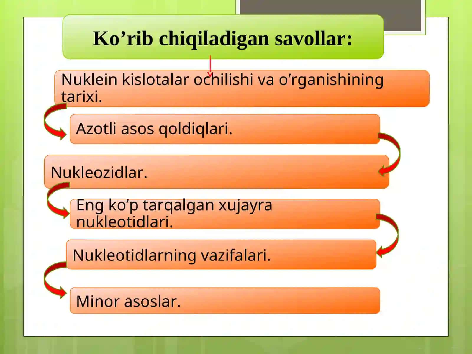 Nukleozidlar. Nukleotidlar 2