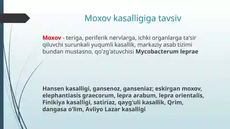 Moxov(Lepra)(Ganzenkasalligi) 2