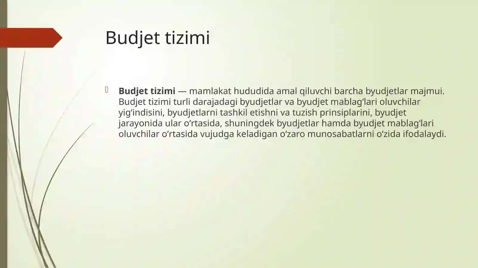 Budjettizimi 2