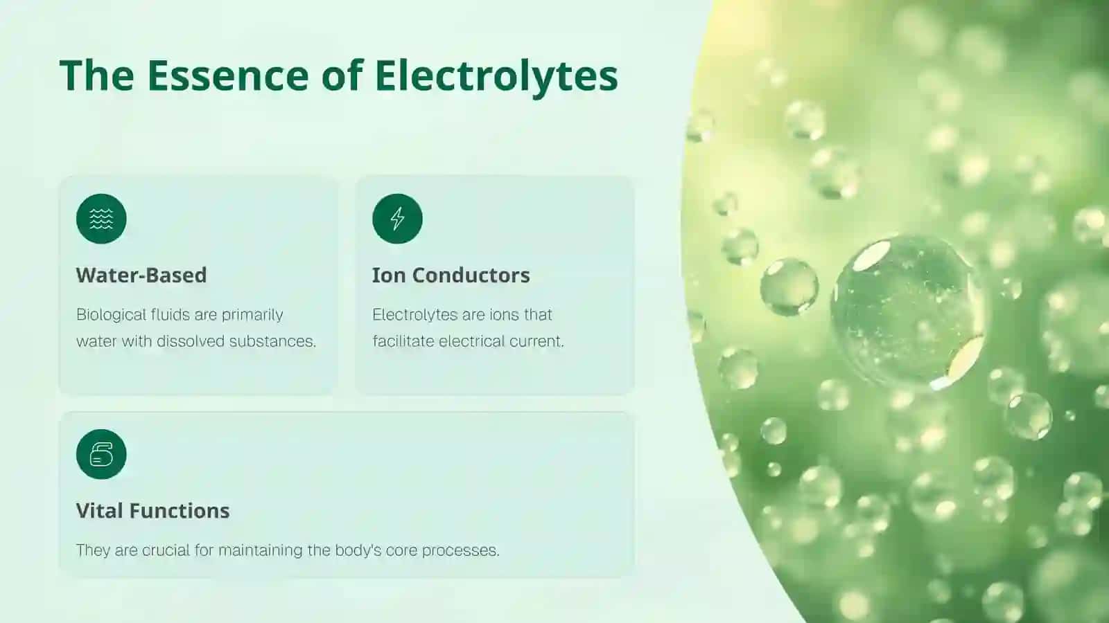Biological Fluids: The Body's Electrolyte Solutions 2