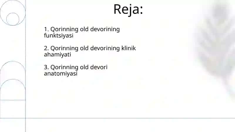 Qorin boshlig'i oldingi devori 2