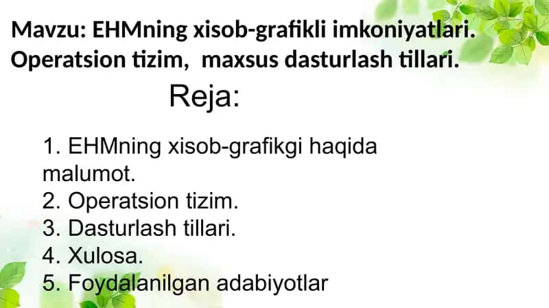 EHMning hisob-grafikli imkoniyatlari: Operatsion tizim va maxsus dasturlash tillari 2