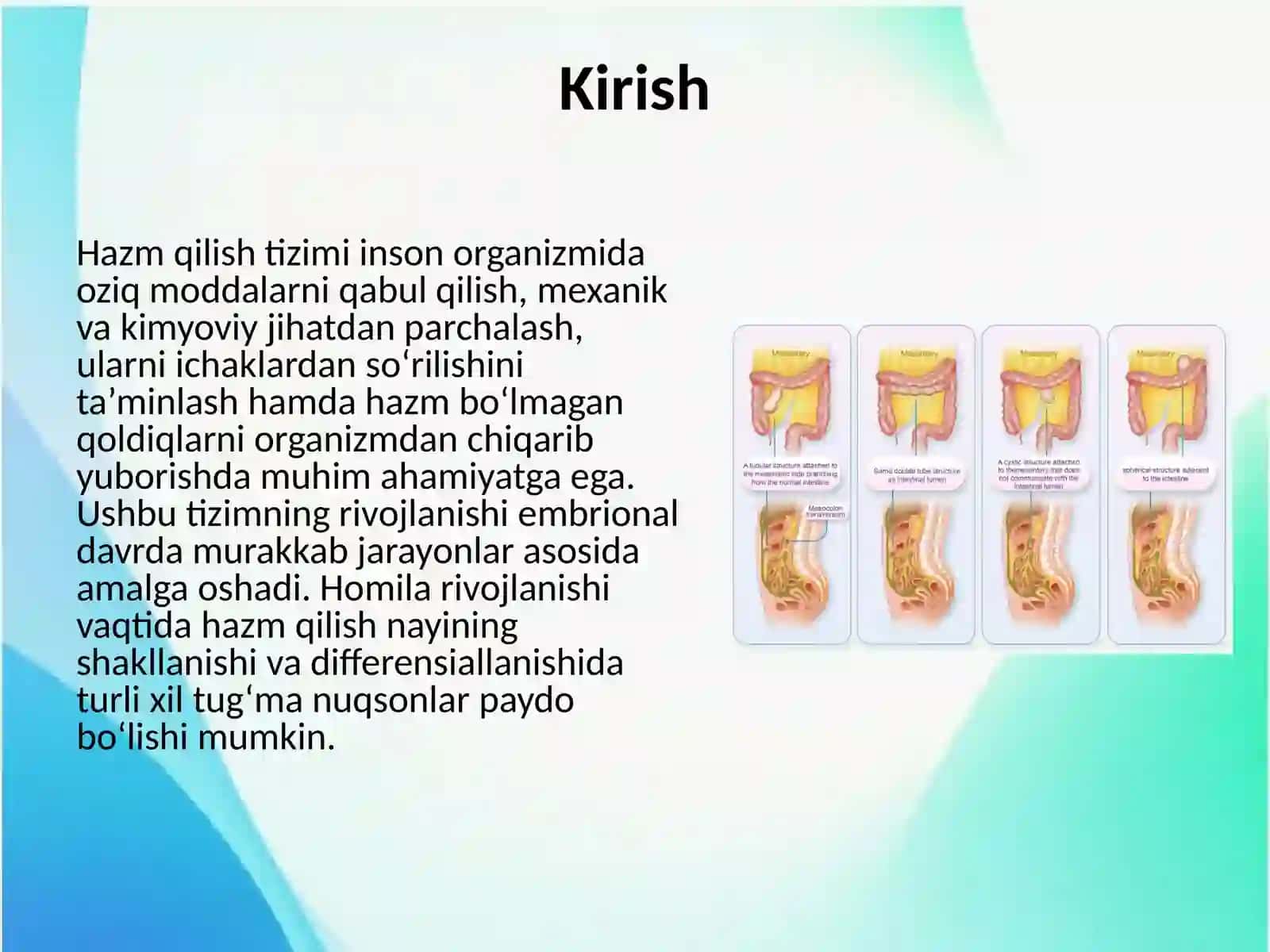 Hazm qilish nayining ikkilanishi 2