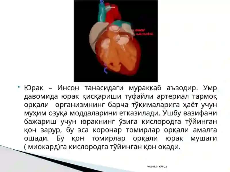 Ўткир коронар синдром 2