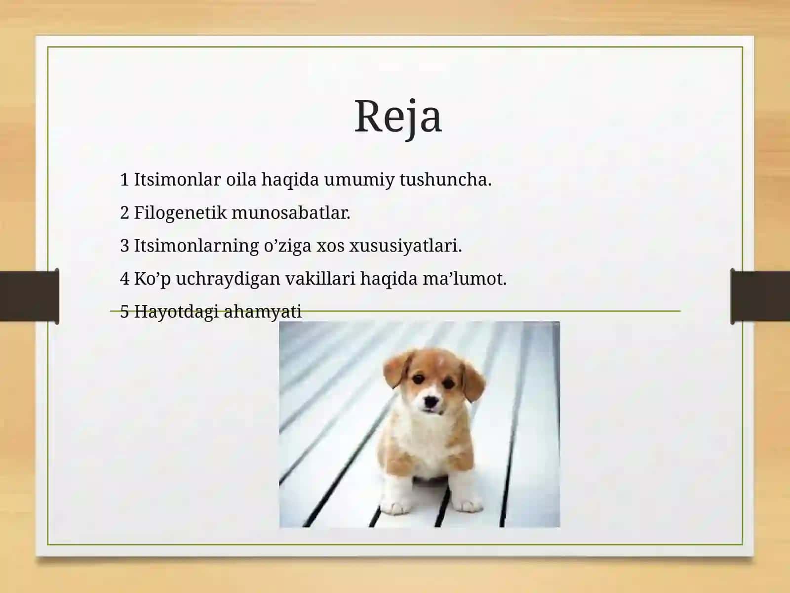 Itsimonlar,hayot kechirishi va tarqalishi 2