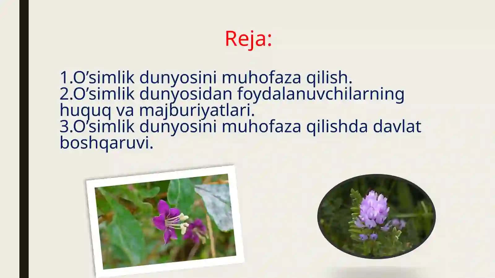 O’Simlikdunyosidanfoydalanishvaunimuhofazaqilish 2