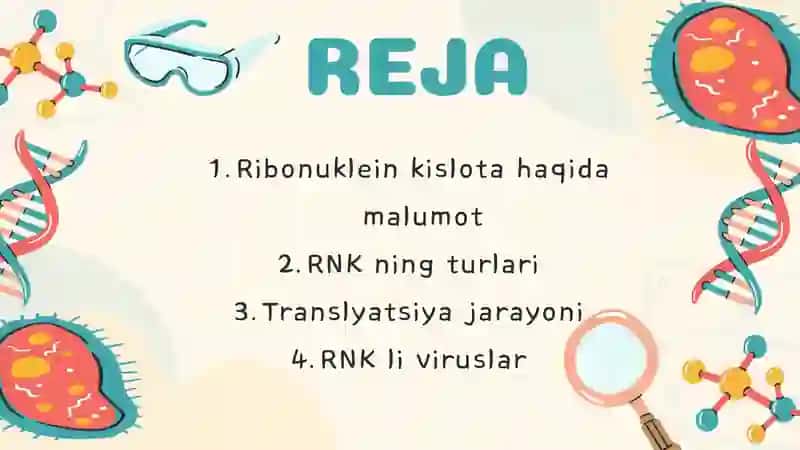 RNK 2