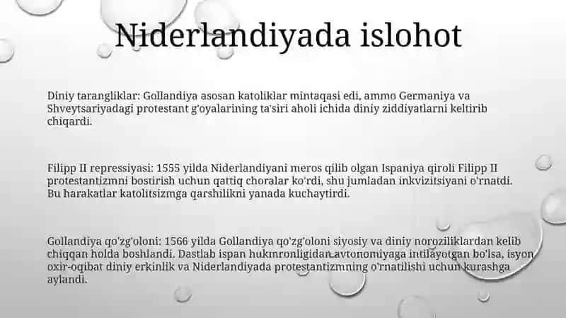 Gollandiya qo'zg'oloni 2