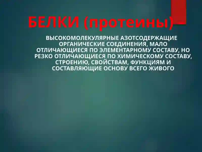 Строение и функции белков 2