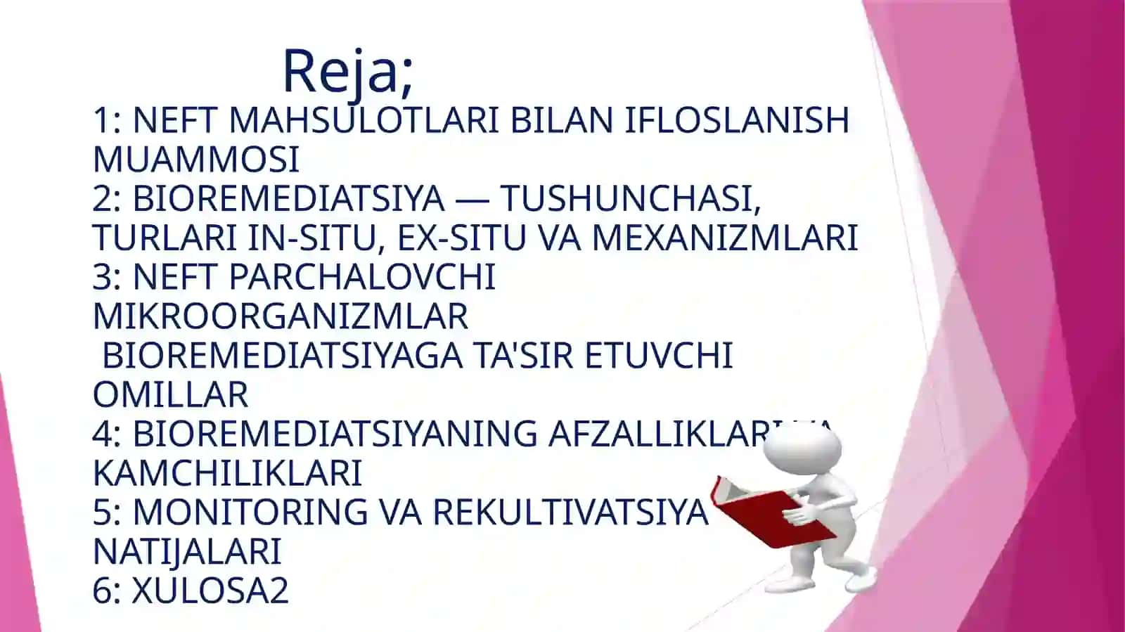 Neft mahsulotlari bilan ifloslangan muhitni bioremidiatsiyasi 2