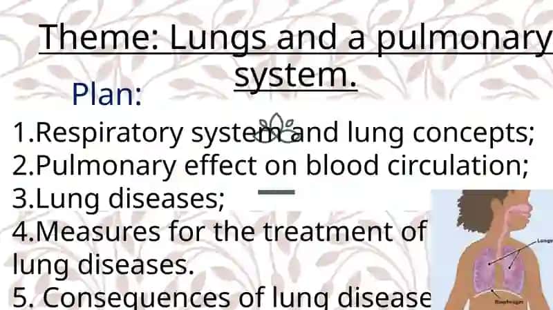 Lungs and a Pulmonary System 2