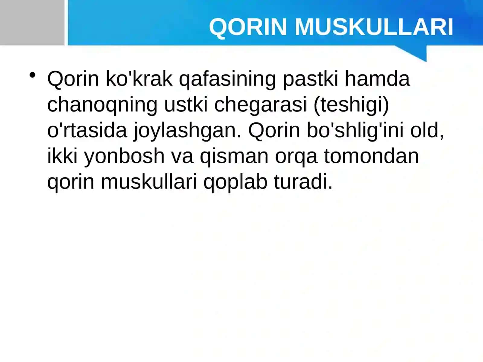 Qorin muskullari 2