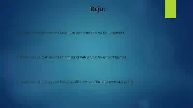 Ingichkavayogʻonichakdafunksionalvaklinikanatomiyasi 2