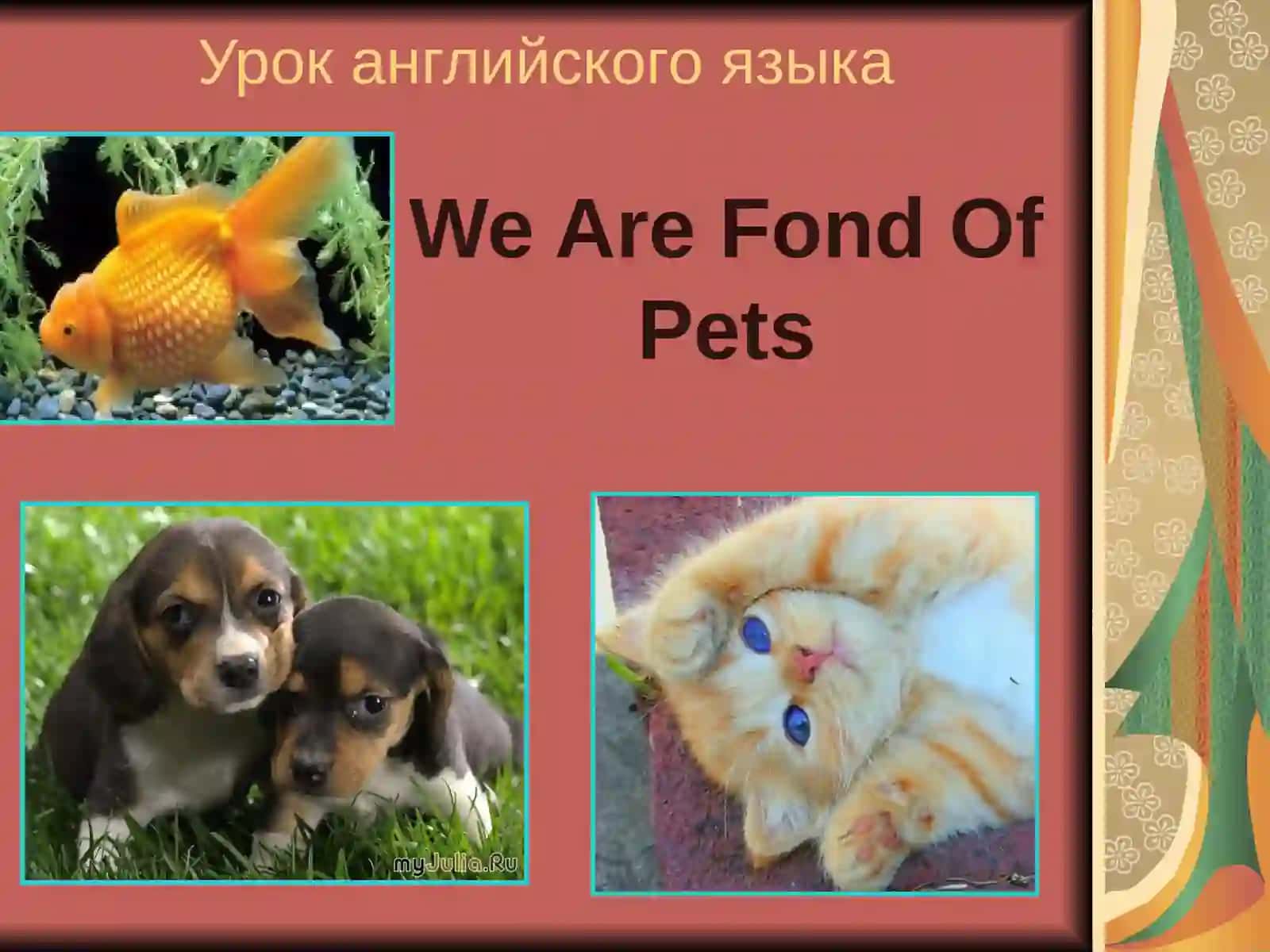 Урок английского языка для 6 класса по учебнику К.И Кауфман, М.Ю.КауфманHappy English.ru 2