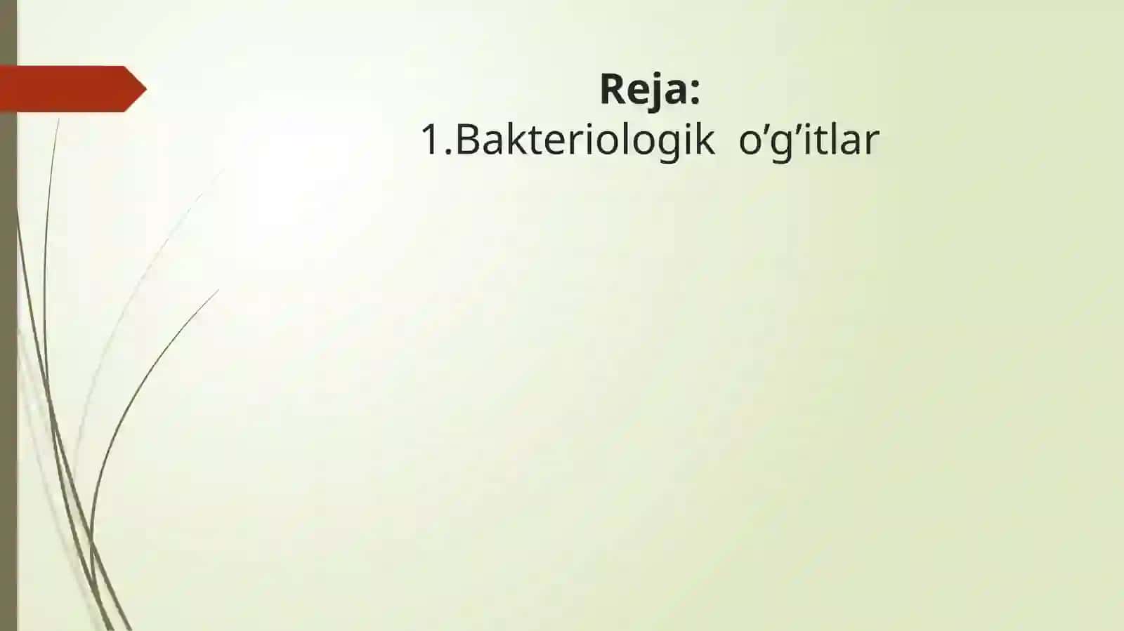 Bakteriologiko’g’itlar 2
