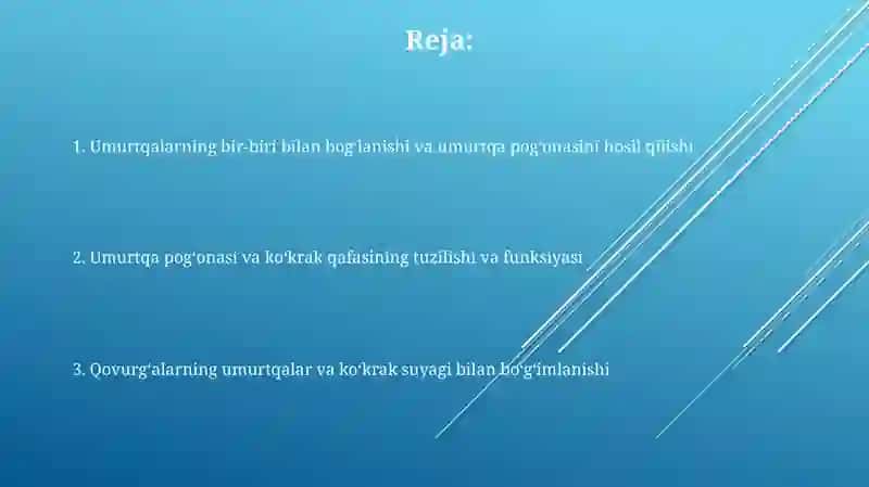 Umurtqalarning oʻzaro birlashishi umurtqa pogʻonasi qovurgʻalarning umurtqalar va toʻsh 2
