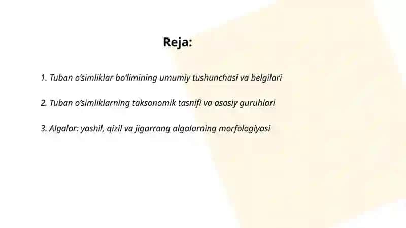 Tuban o‘simliklar bo‘limi 2