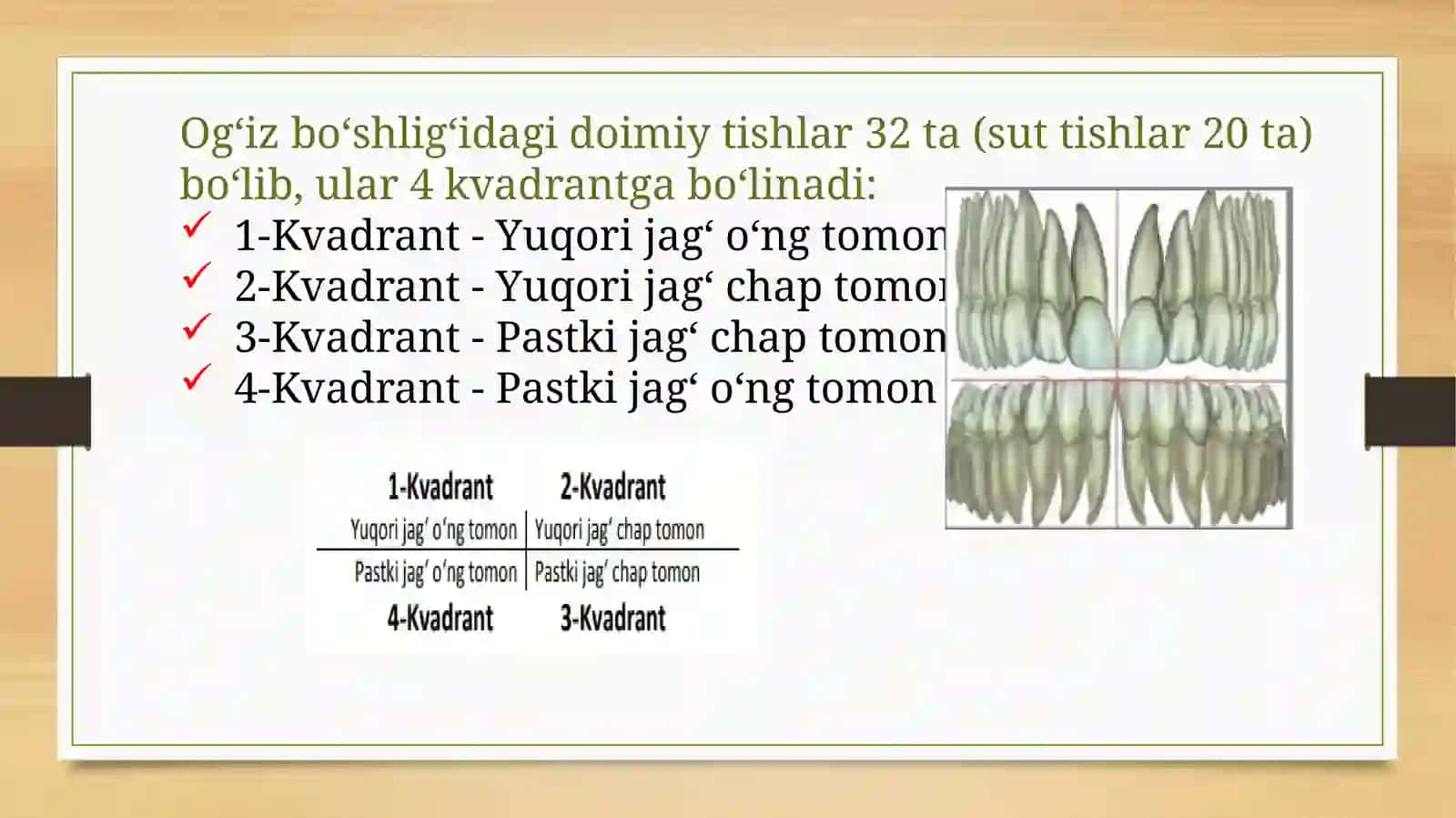 Tishlarning anatomik tuzilishi 2