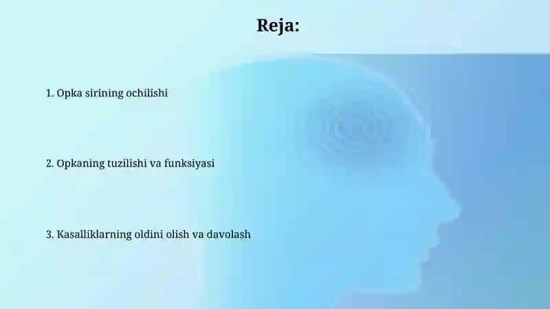 O'PKA APSESSI 2