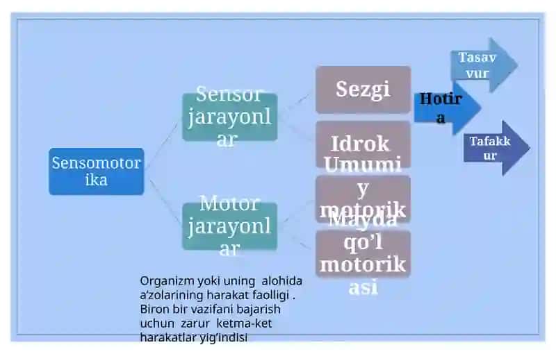 Turlinutqbuzilishlaridaumumiy,maydamotorikanitekshirishvarivojlantirishtexnologiyasi 2