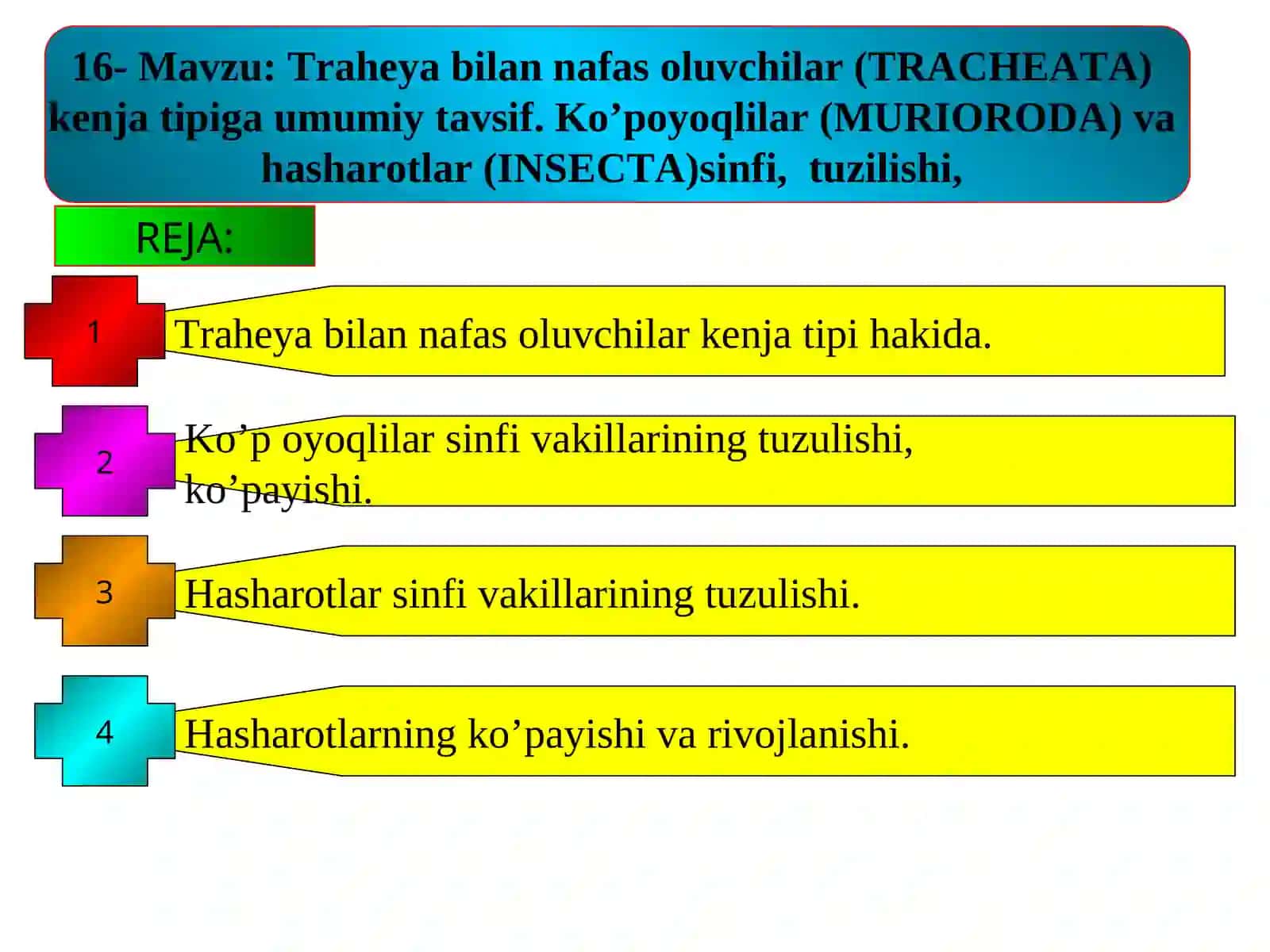 Traheya bilan nafas oluvchilar (TRACHEATA) 2