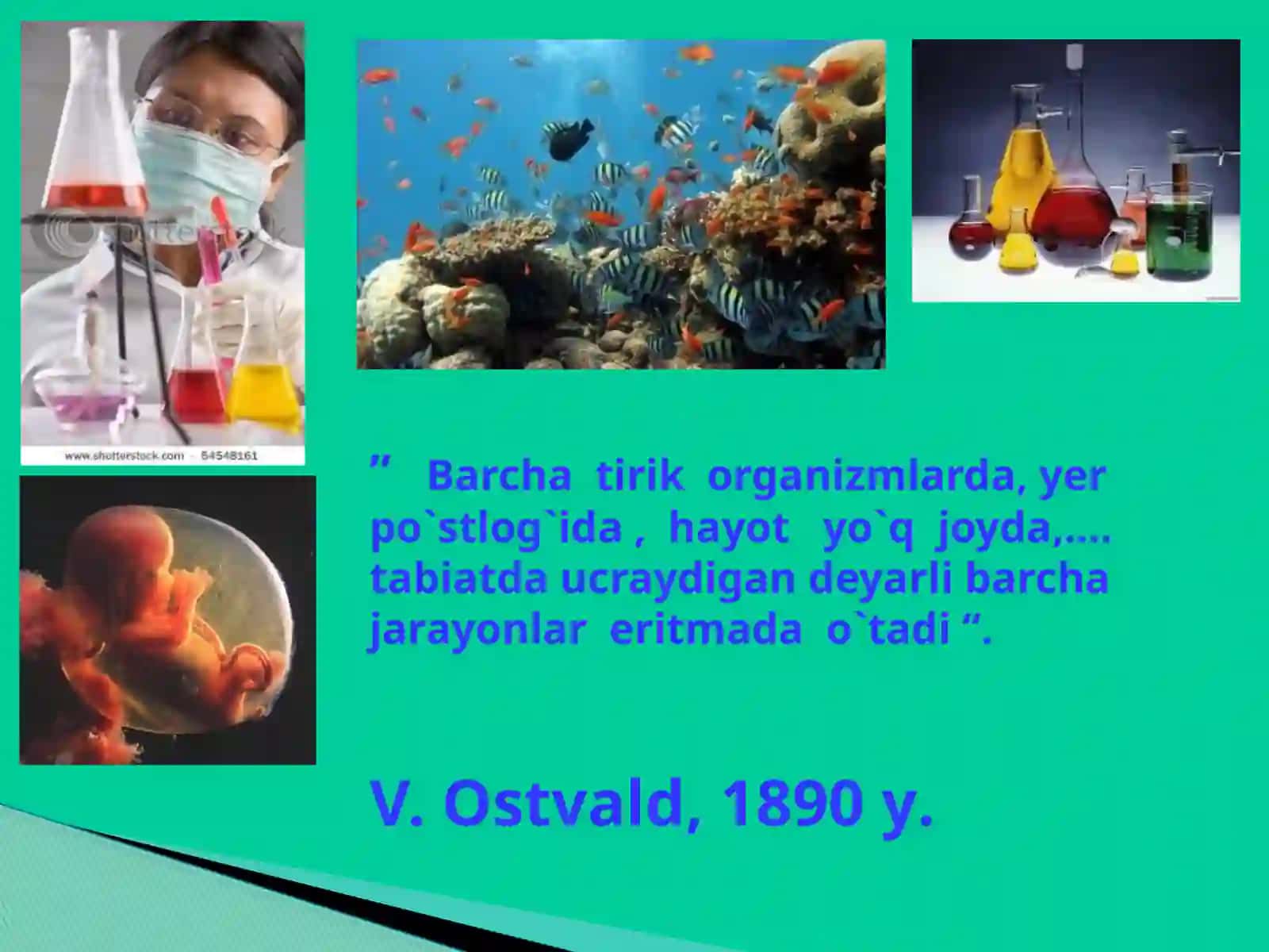 Embrion rivojlanishga tashqi muhitning ta'siri. Rivojlanishning umumiy qonuniyatlari. Biogenetik qonun. Embrionlarning o'xshashlik qonuni 2