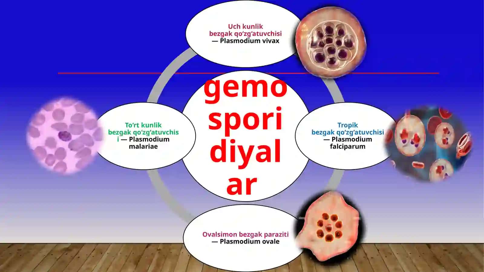 Odamlarda parazitlik qiluvchi sporalilar 2
