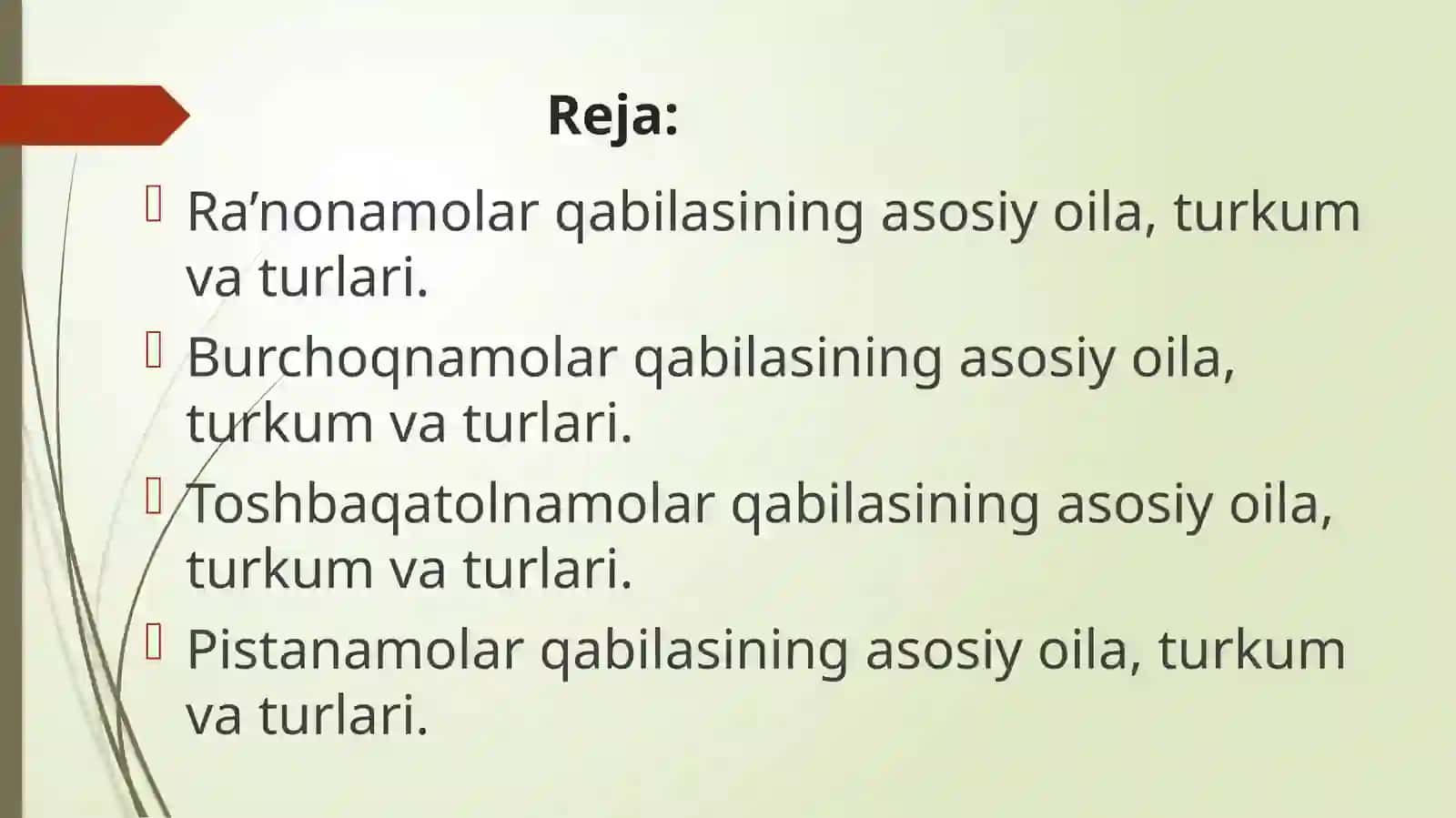 Ra’nokabilar sinfchasining keng tarqalgan oilalari, asosiy vakillari, tuzilishi va ahamiyati 2