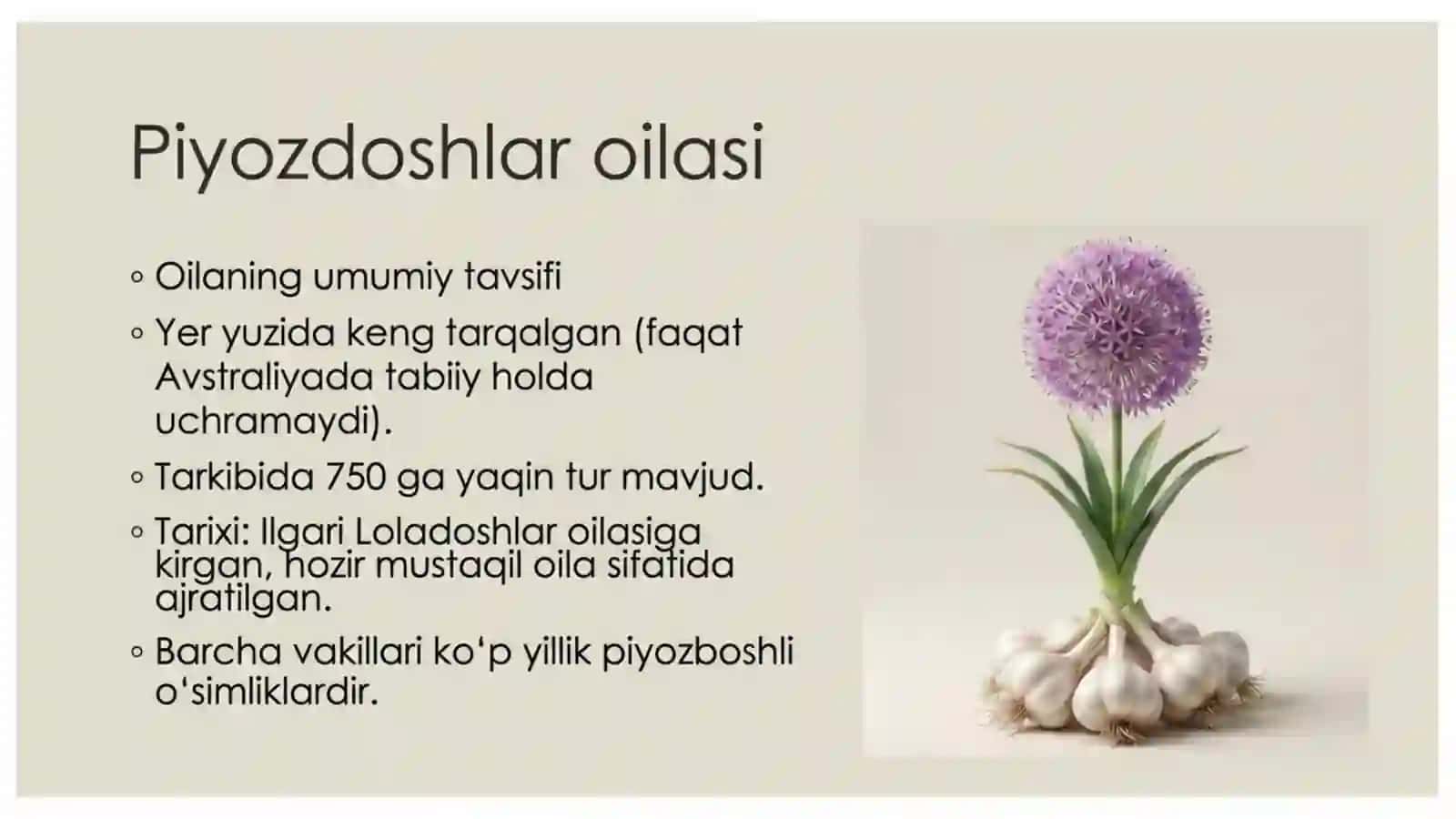 Piyozdoshlar oilasi 2