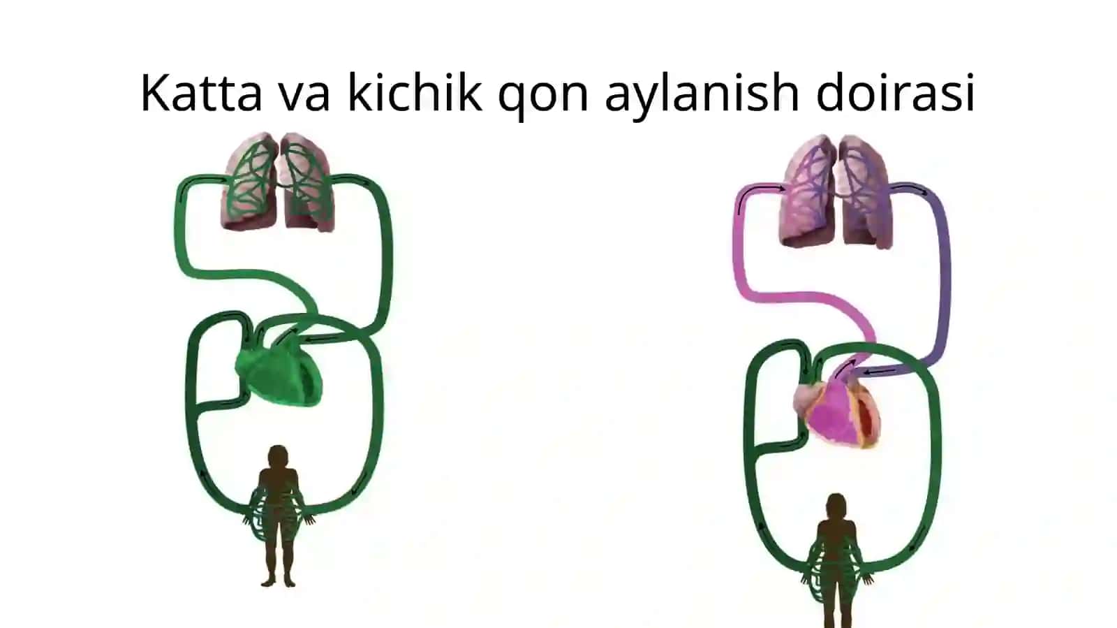 Yuqorikavakvena 2