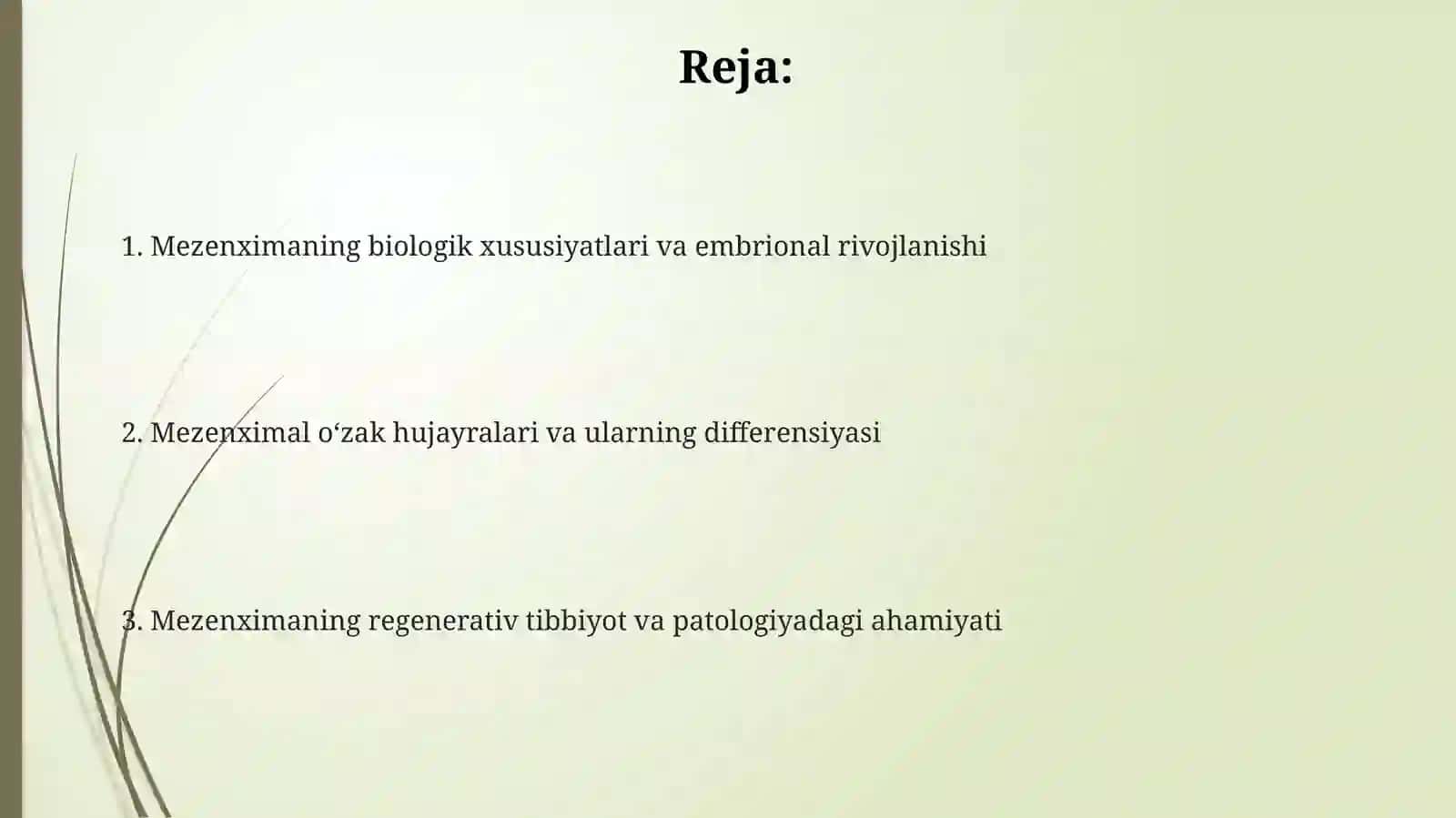 Mezenximaning tuzilishi va ahamiyati 2